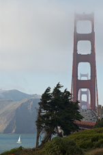 Enlarge photo 283