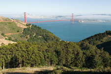 Enlarge photo 324