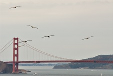 Enlarge photo 349