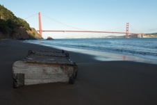 Enlarge photo 313