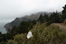 Enlarge photo 311