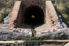 Enlarge photo 306