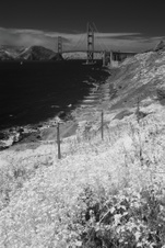 Enlarge photo 169