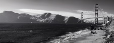 Enlarge photo 176