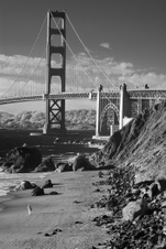 Enlarge photo 175