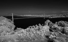 Enlarge photo 166
