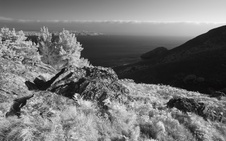Enlarge photo 165