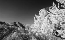 Enlarge photo 164
