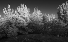 Enlarge photo 163