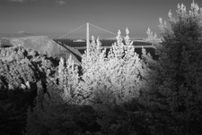 Enlarge photo 162