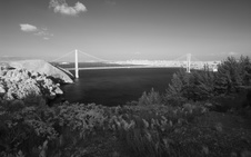 Enlarge photo 161