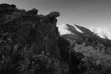Enlarge photo 142