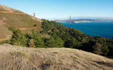 Enlarge photo 139