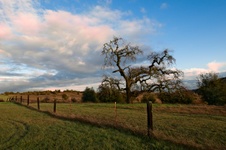 Enlarge photo 224
