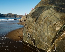 Enlarge photo 216
