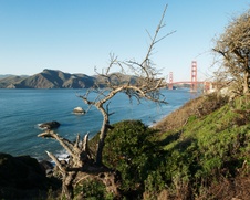 Enlarge photo 215