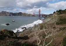 Enlarge photo 213
