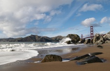 Enlarge photo 205