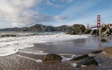 Enlarge photo 204