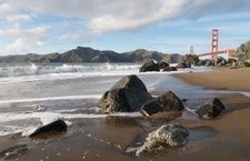 Enlarge photo 203