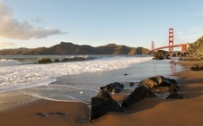 Enlarge photo 202