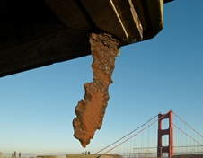 Enlarge photo 186