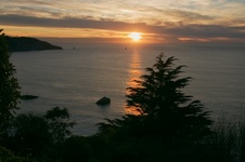 Enlarge photo 386