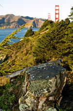 Enlarge photo 415