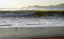 Enlarge photo 381