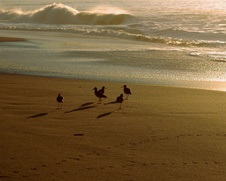 Enlarge photo 380