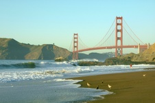 Enlarge photo 377