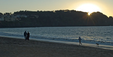 Enlarge photo 412
