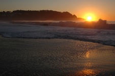 Enlarge photo 375