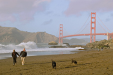 Enlarge photo 411