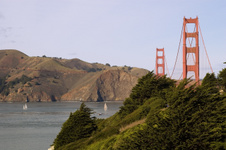 Enlarge photo 401
