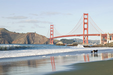 Enlarge photo 398