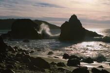 Enlarge photo 392