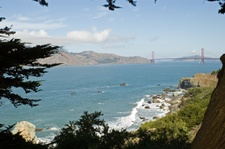 Enlarge photo 425
