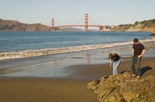 Enlarge photo 421