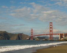 Enlarge photo 361