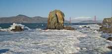 Enlarge photo 418