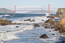 Enlarge photo 417