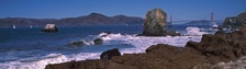 Enlarge photo 435