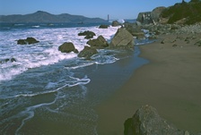 Enlarge photo 426