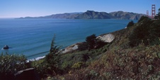 Enlarge photo 436