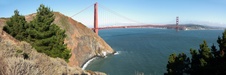 Enlarge photo 312