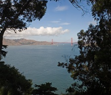 Enlarge photo 423