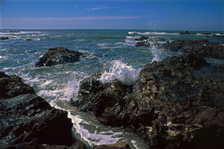 Enlarge photo 455