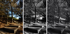 Enlarge photo 174