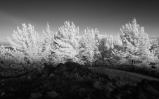 Enlarge photo 143